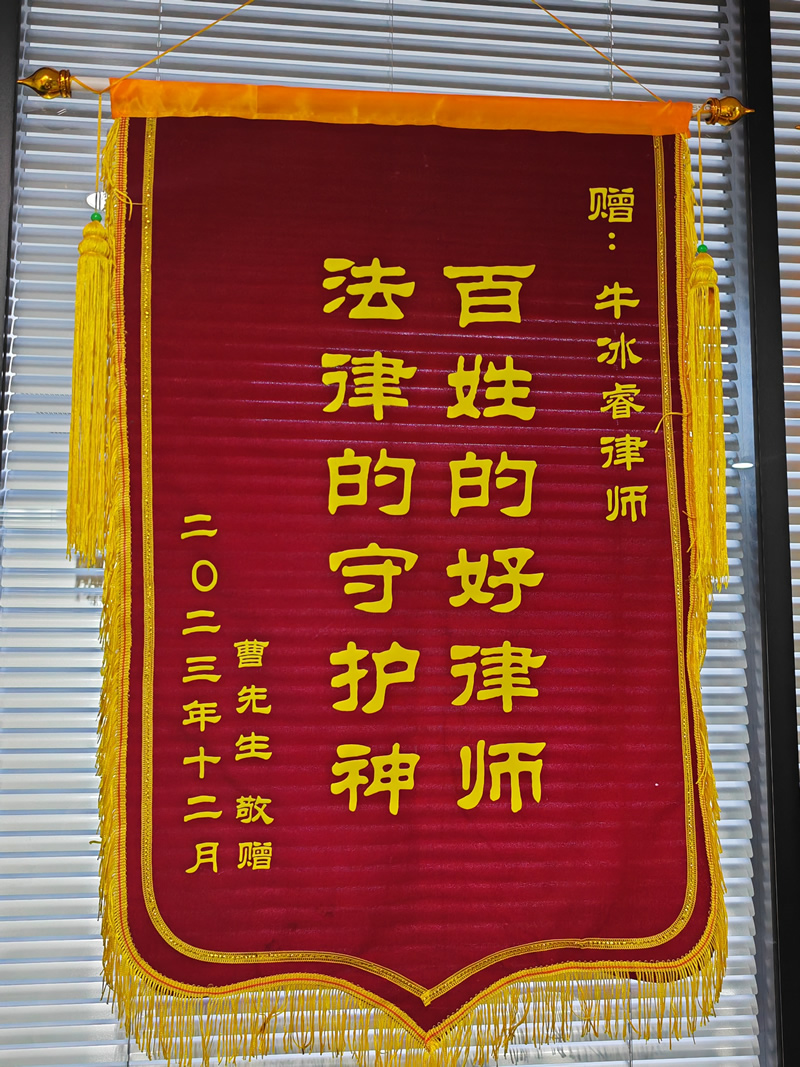 百姓的好律师 法律的守护神